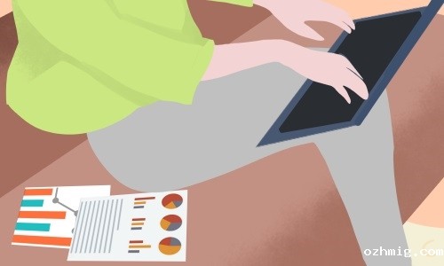 公司审计年度工作计划范文