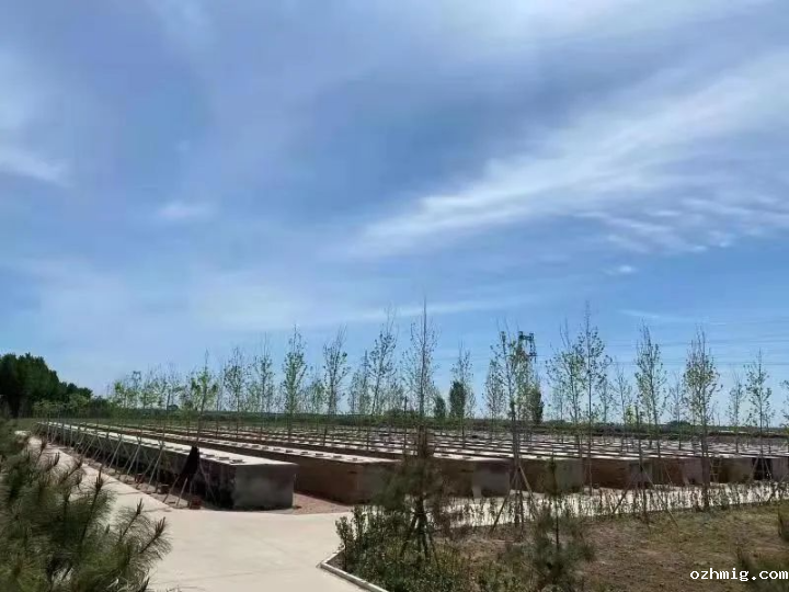 昌黎皮毛厂标签印刷环保争议