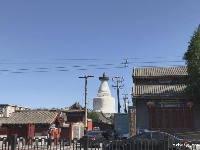 北京教育机构招生简章印刷