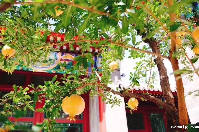 北京教育机构招生简章印刷